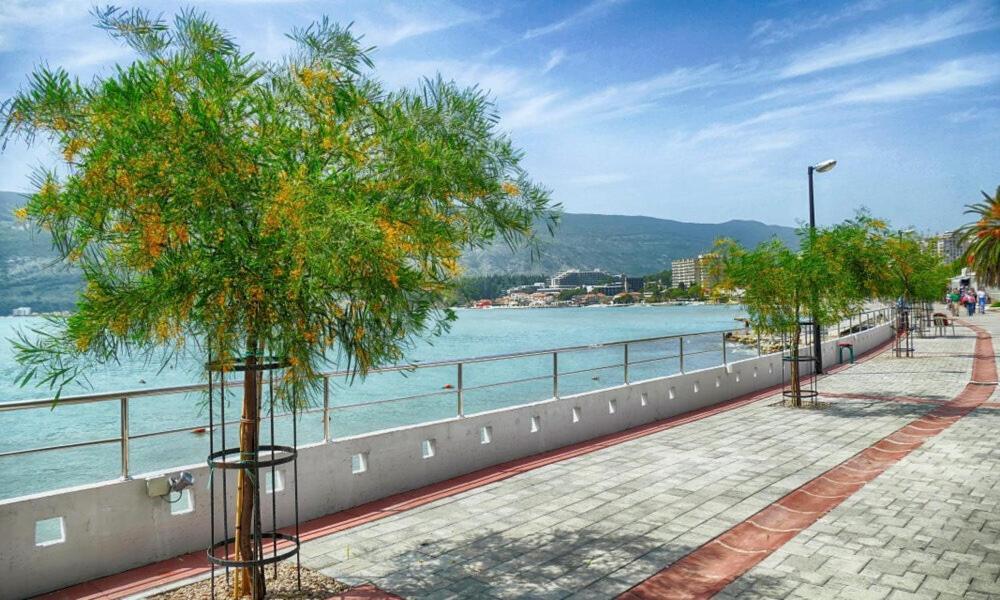 Villa Montanja Χέρτσεγκ Νόβι Εξωτερικό φωτογραφία